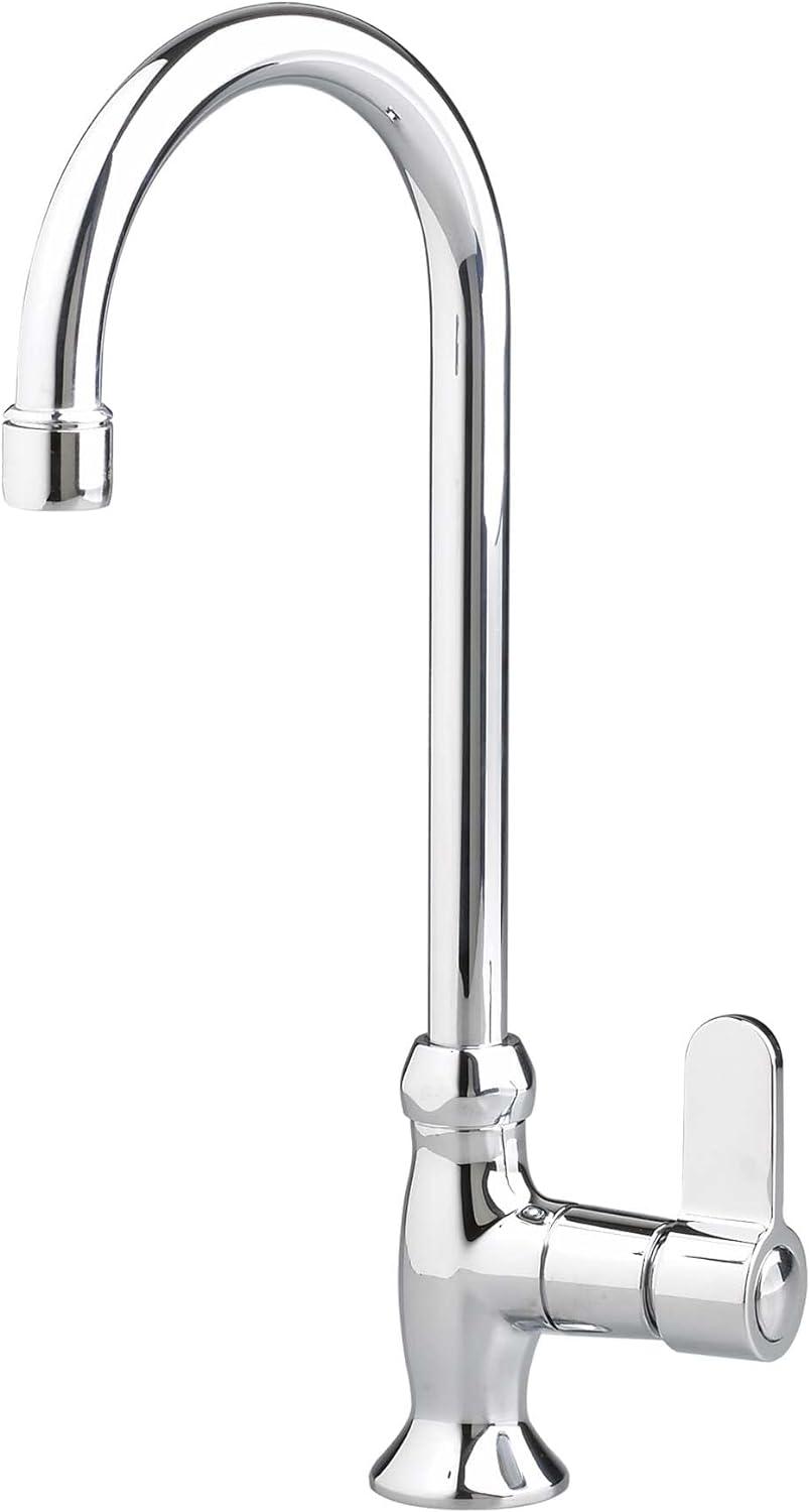 Elegant Polished Chrome Single-Handle Bar Faucet