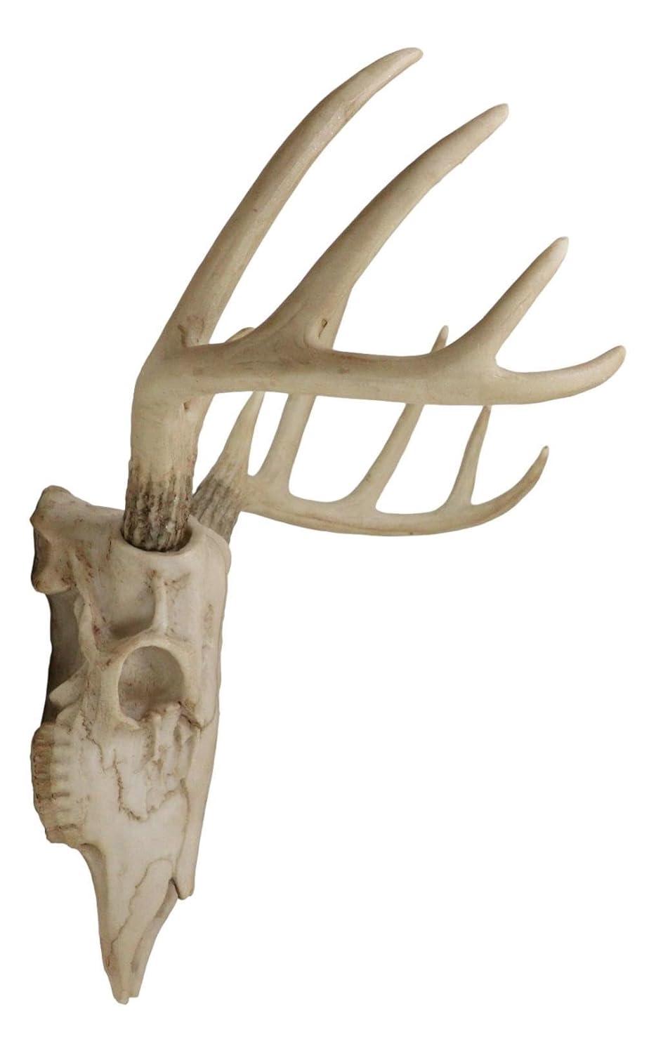 蝦夷鹿hunting trophy（deer skull） 蝦夷鹿hunting trophy（deer skull） Isolated Hunting Trophy