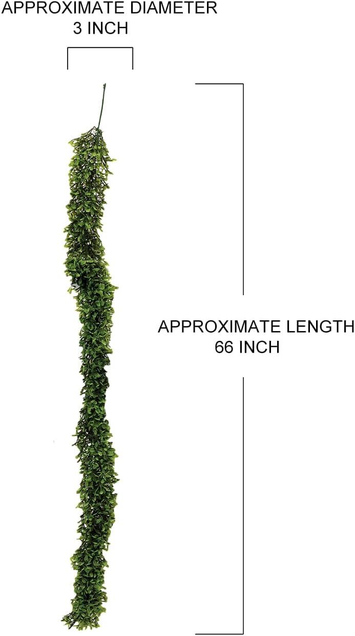 Serene Spaces Living Artificial Green Boxwood Garland - Ideal for Decorating Windows at Parties or Events, Measures 5.5 Feet Long