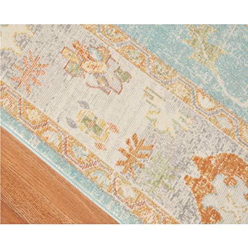 AMER Rugs Bohemian Gretna Collection, Indoor/Outdoor Aqua 9x12 Area Rug, Rugs for Living Room, Bedroom, Dining Room, Kitchen - Aqua/Beige