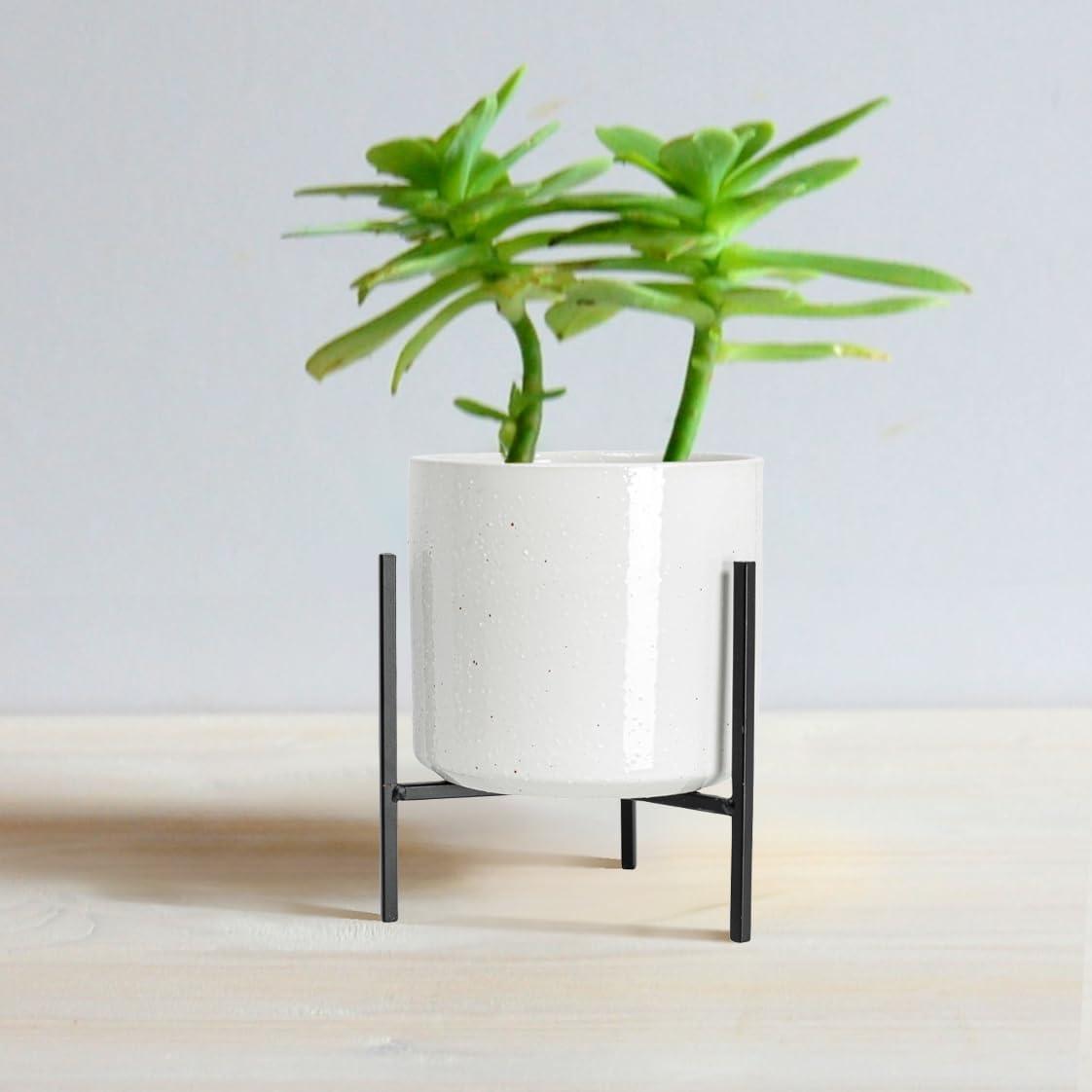 White Stoneware Planter Pot with Black Metal Stand