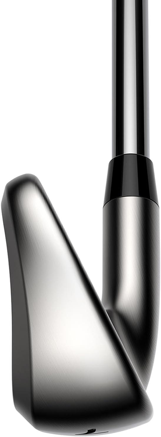 Cobra Golf Club DS ADAPT 5-PW, GW Iron Set Regular Steel