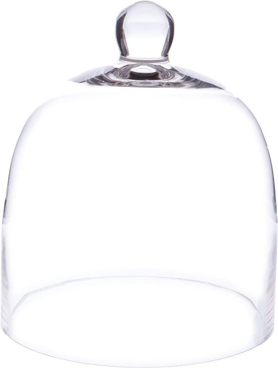 Plymor 7.875 inch x 9.5 inch Bell Jar Glass Display Dome Cloche (Interior size 7.5" x 7.5")