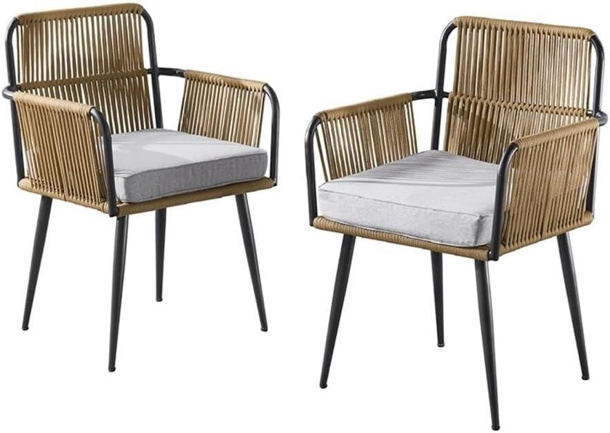 Alburgh 25.59" Light Gray Cushioned Outdoor Dining Chair Set