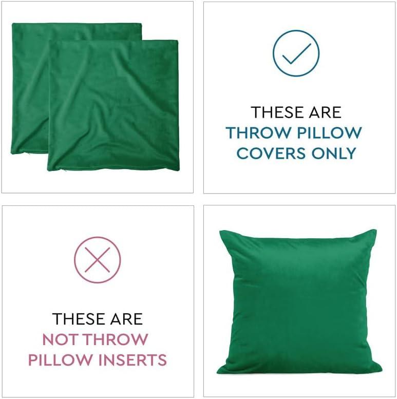 Nmkwnr 2 Pack Soft Velvet Throw Pillow Covers Solid Square Pillow Cases Modern Cushion Covers Case for Sofa Car Office Living Room, 18x18inch