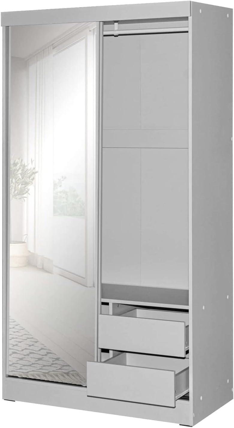 Transitional Light Gray Double Sliding Door Wardrobe with Mirror