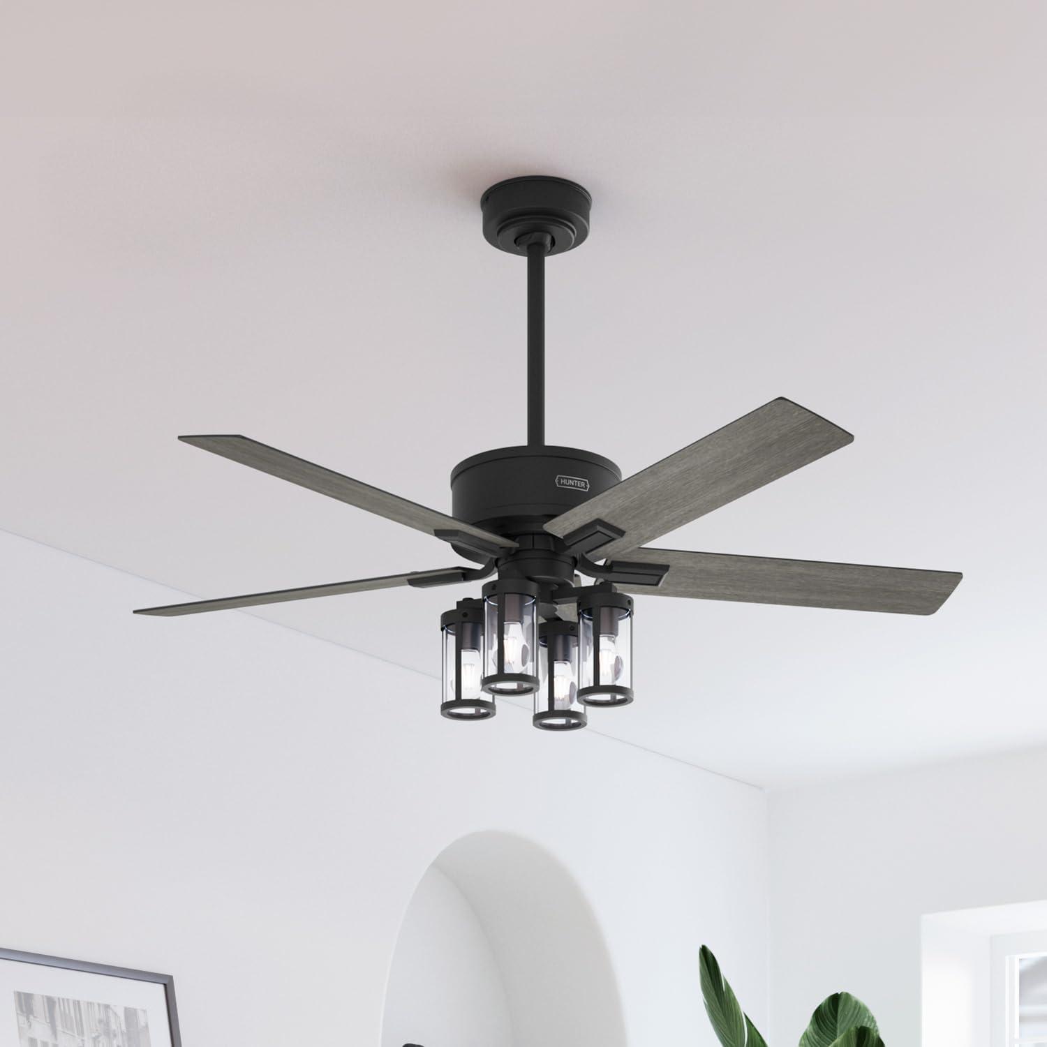 Hunter Fan Hunter 52 inch Astwood II Ceiling Fan with Lights and Remote