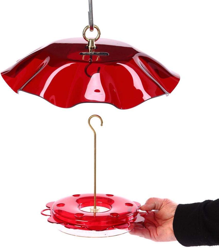 Birds Choice NP1007 Hummerfest Bird Feeder w/ Weatherguard, Hummingbird Nectar Feeder with Ant Moat, 12oz Capacity, Red