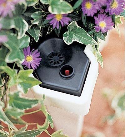 White Polyethylene Planter with Trellis and Self-Watering Reservoir