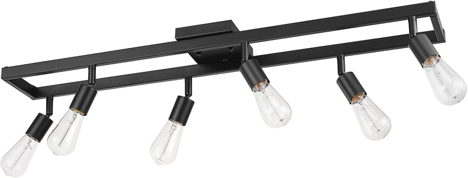 Matte Black 6-Light Adjustable Track Lighting Fixture