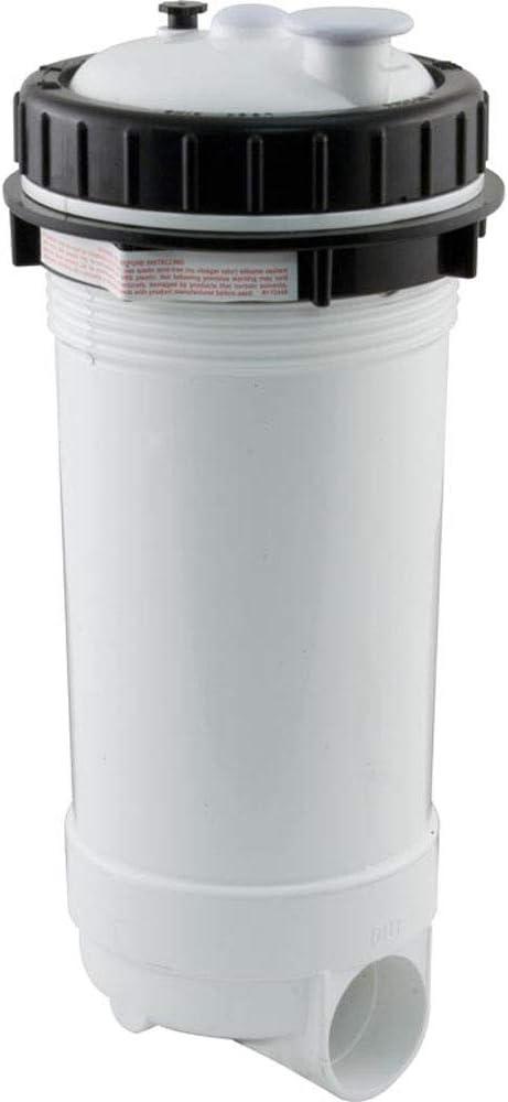 Pentair Rainbow Cartridge Filter, Rainbow RTL-50, Top Load, 2" s #R172504B