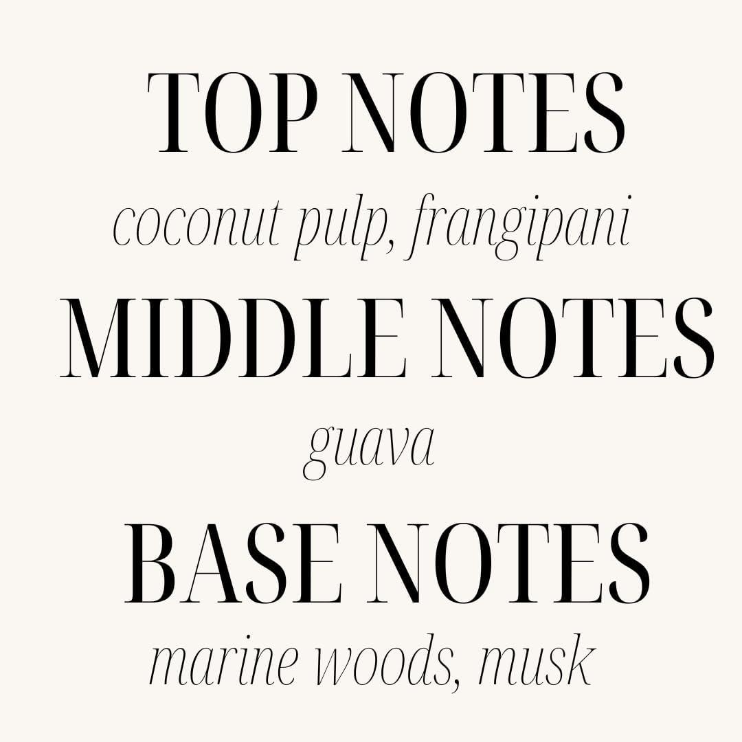 Sand + Paws Scented Candle -Balsam Cedar- Luxurious Air Freshening Jar Candles Neutralize pet Odors and Enhance Home décor – 100% Cotton Lead-Free Wicks - 12 oz