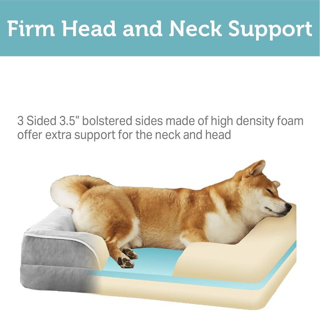 Friends Forever Orthopedic Dog Bed for Medium Dogs, Waterproof Memory Foam Dog Sofa Bed M with Removable Washable Cover, Ally Grey, 28x23x6.5