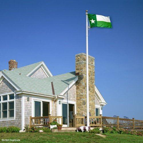 Desert Cactus University of North Texas Flag UNT Mean Green Flags Banners 100% Polyester Indoor Outdoor 3x5 (Green Texas Flag)