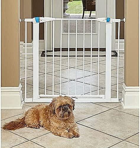 MidWest Homes for Pets Gate/ Walk-thru Steel Pet Gate & Reviews | Wayfair