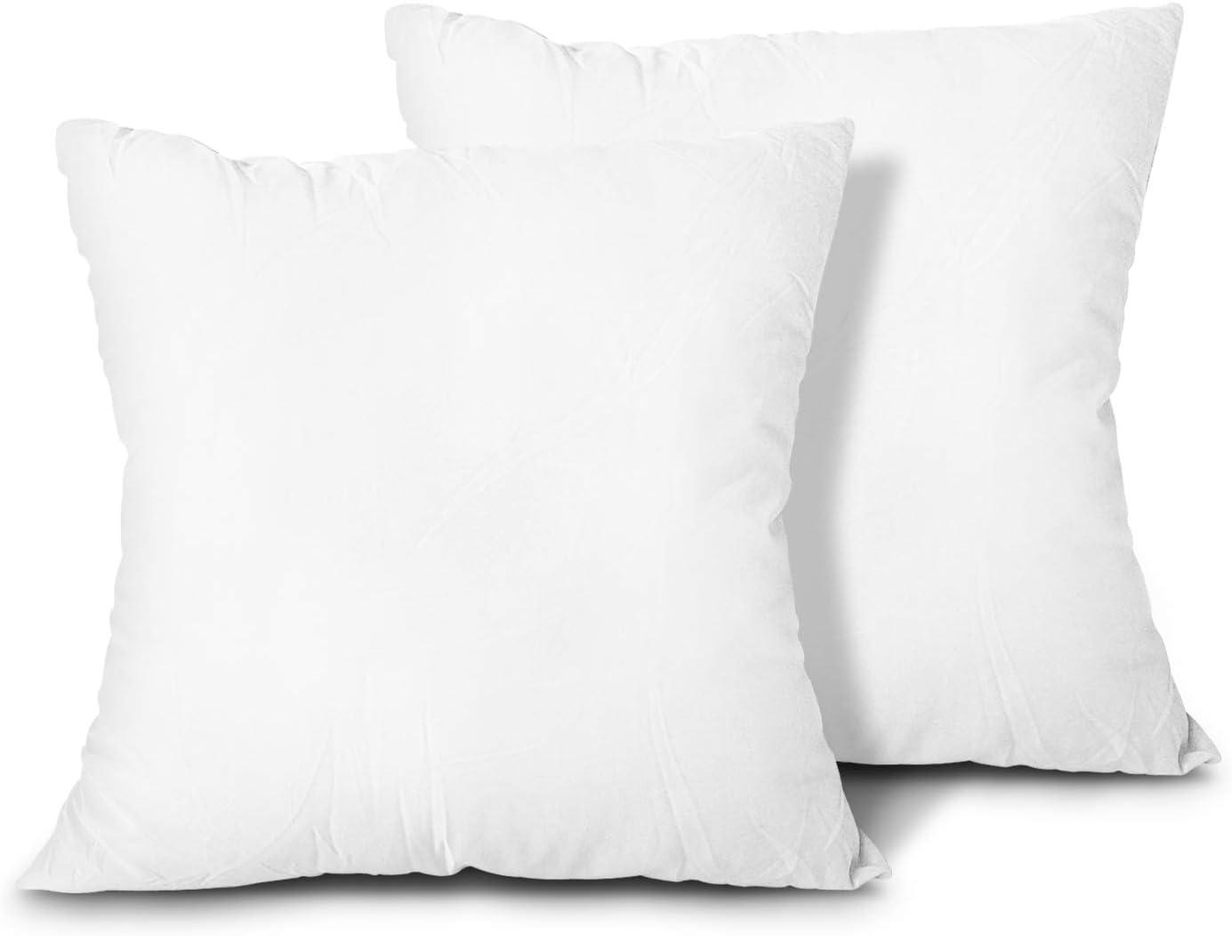 White 20x20 Polyester Throw Pillow Inserts, Set of 2