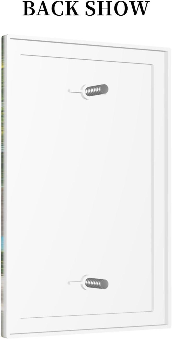 Sunyuer Sea Starfish Beach Decorative Wall Plate, 1 Gang Single Blank Outlet Cover Decorative Switch Plate for Kitchen Bathroom Bedroom, 4.5x2.76 Inch