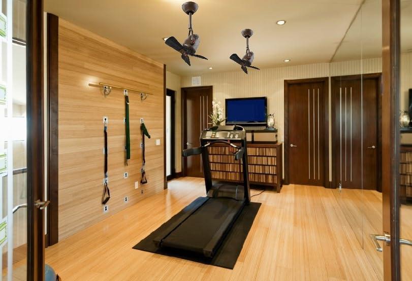 Diane oscillating ceiling fan in Polished Chrome finish with solid matte black wood blades.