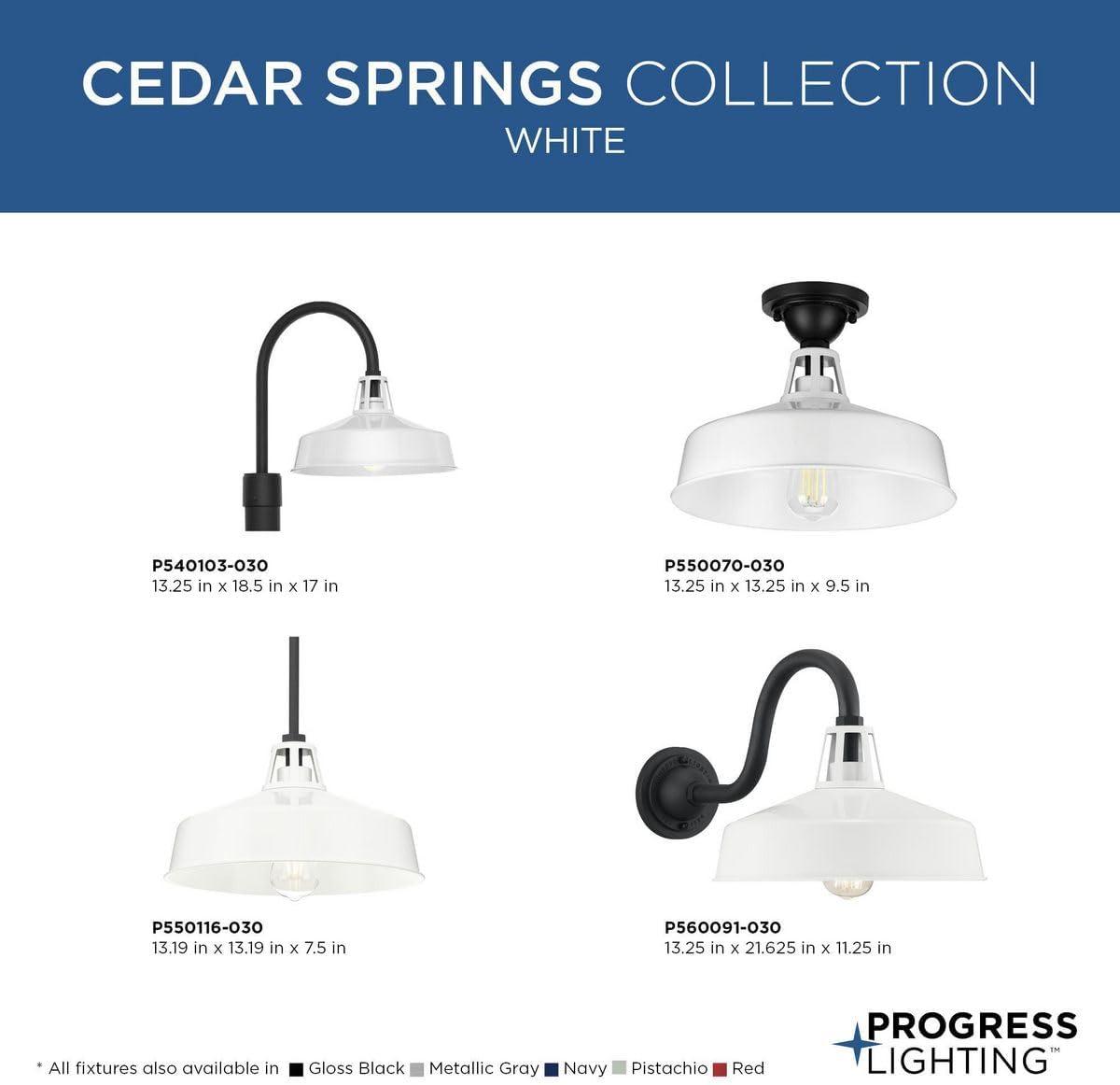 Progress Lighting Cedar Springs 1-Light Ceiling Light, White, Aluminum, Industrial-Style Shade