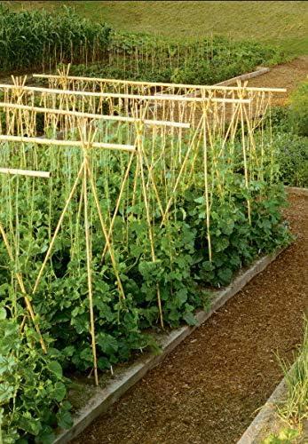 6' Natural Bamboo Garden Support Stakes, Pack of 25