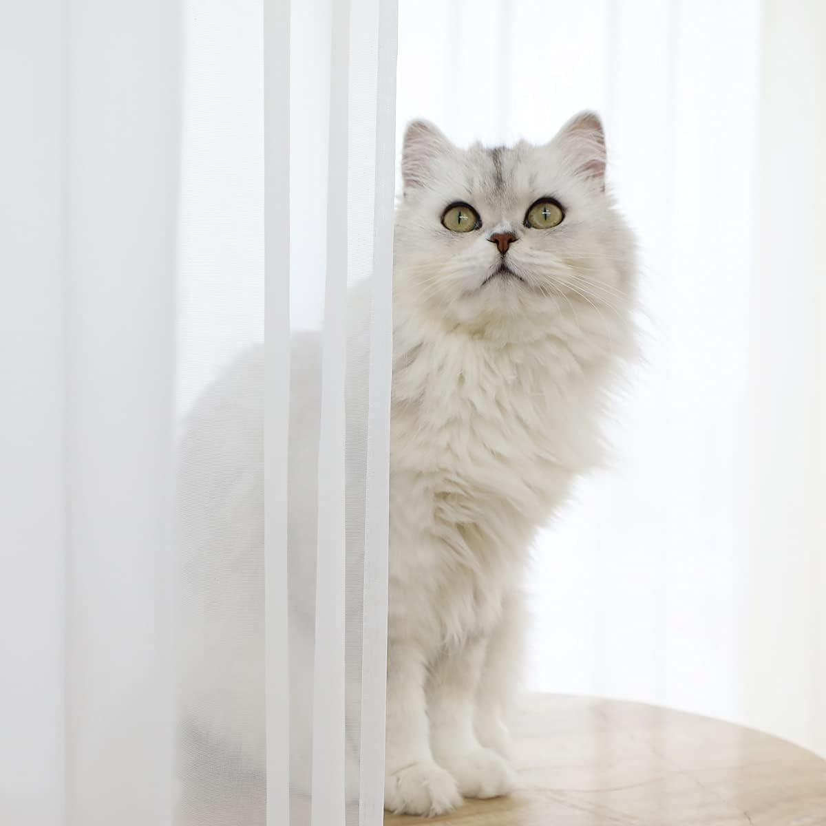 Window White Sheer Curtains 84 Inches Long 2 Panels Sheer White Curtain Clear Basic Rod Pocket Panel Other Beige Grey Purple Pink 63 72 95 108 Inch Bedroom Children Living Room Yard Kitchen