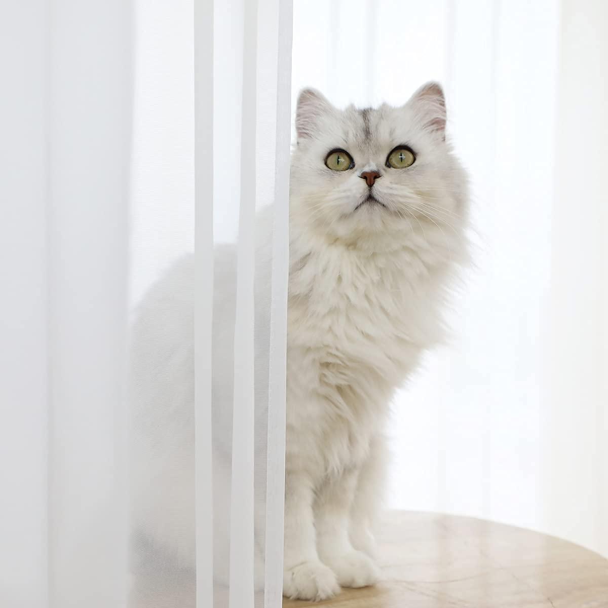 Window White Sheer Curtains 84 Inches Long 2 Panels Sheer White Curtain Clear Basic Rod Pocket Panel Other Beige Grey Purple Pink 63 72 95 108 Inch Bedroom Children Living Room Yard Kitchen