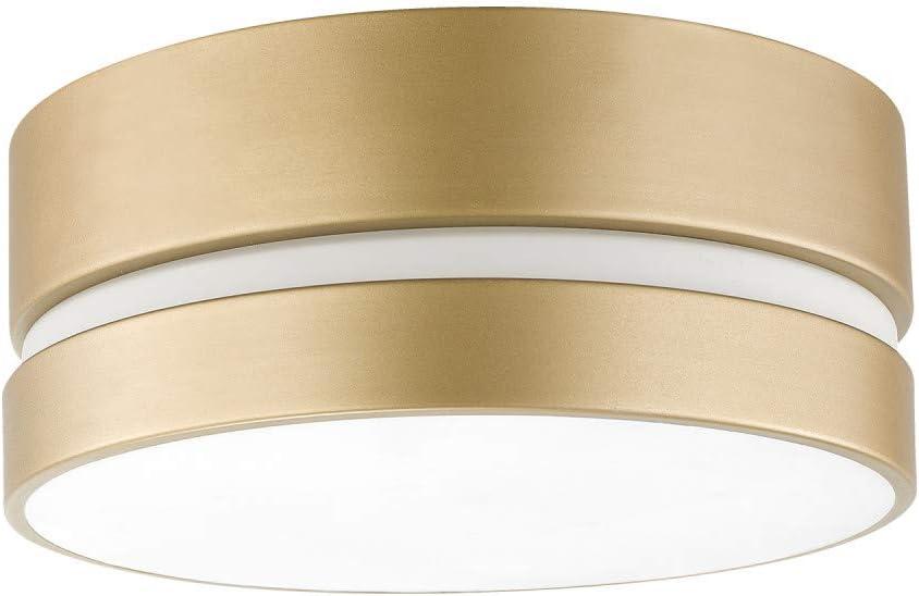 Gold and Frosted Glass Modern Flush Mount Ceiling Light