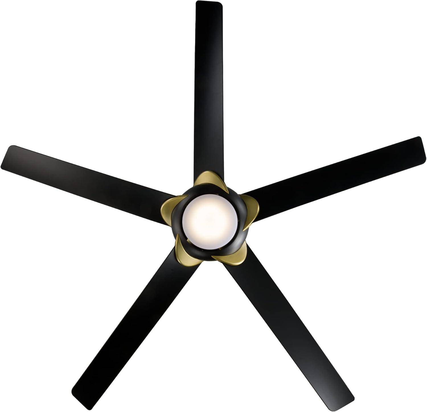 Lucid 62'' Ceiling Fan with LED Lights