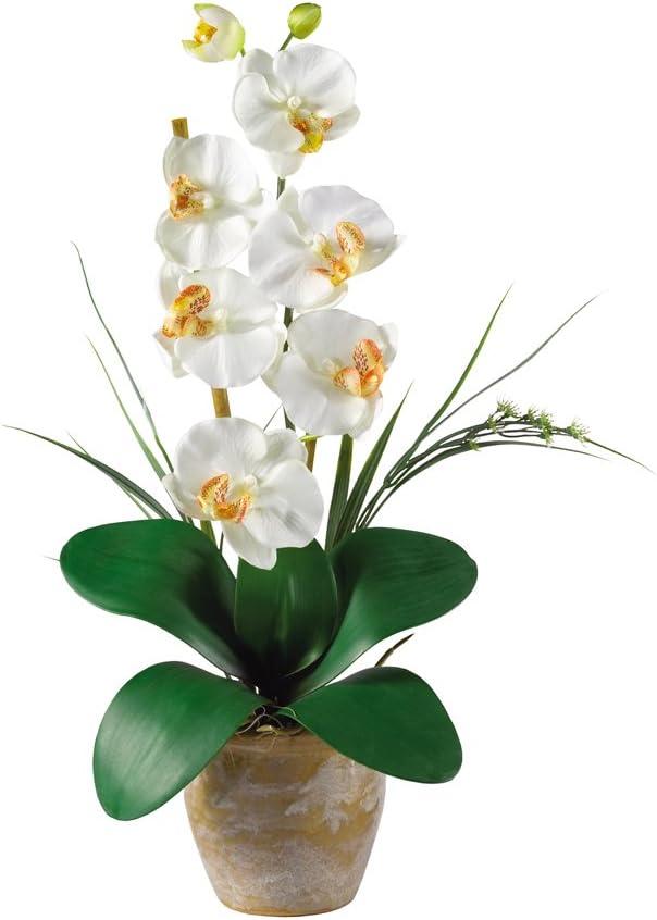 Nearly Natural Single Stem Phalaenopsis Silk Orchid Arrangement