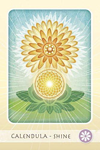 The Herbal Healing Deck (Deck and Guidebook Box Set), (Paperback)