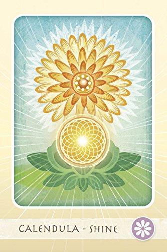 The Herbal Healing Deck (Deck and Guidebook Box Set), (Paperback)