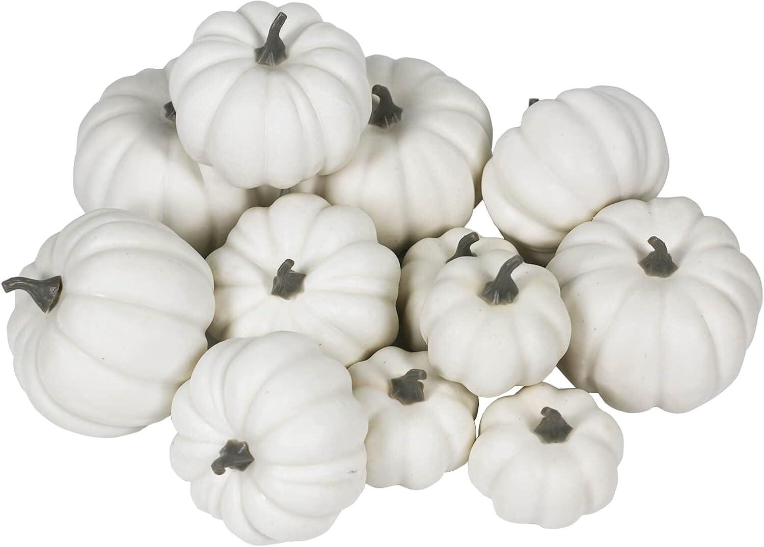 Bibana 12 Pack Artificial Assorted Pumpkins, Mini Fake Pumpkins Artificial Vegetables for Halloween,Harvest Thanksgiving Party Decor (White)