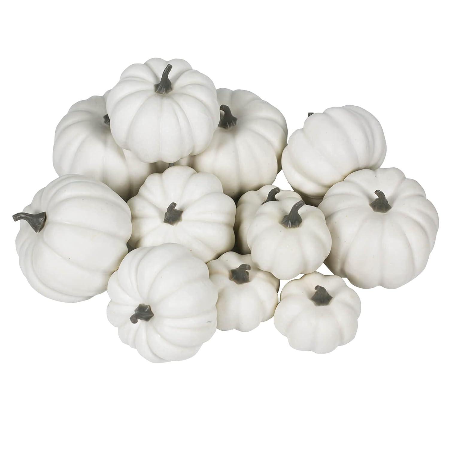 Bibana 12 Pack Artificial Assorted Pumpkins, Mini Fake Pumpkins Artificial Vegetables for Halloween,Harvest Thanksgiving Party Decor (White)