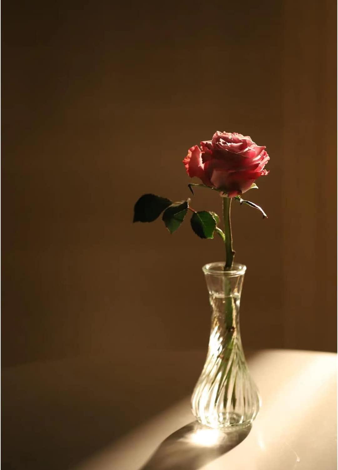 Set of 12 Small Glass Vase, Bud Vases in Bulk for Floral Arrangements, Events, Home Decor Weddings, Table Centerpiece Clear