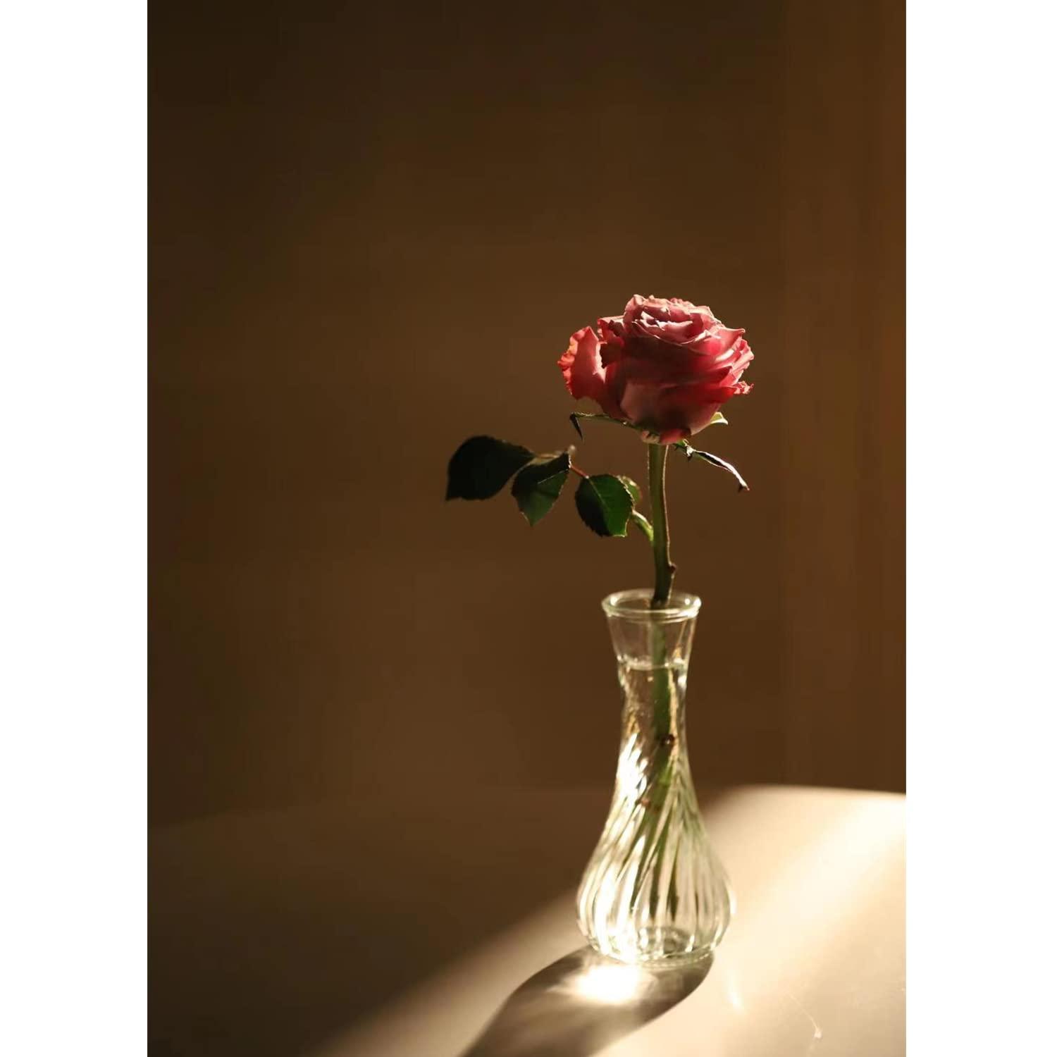 Set of 12 Small Glass Vase, Bud Vases in Bulk for Floral Arrangements, Events, Home Decor Weddings, Table Centerpiece Clear