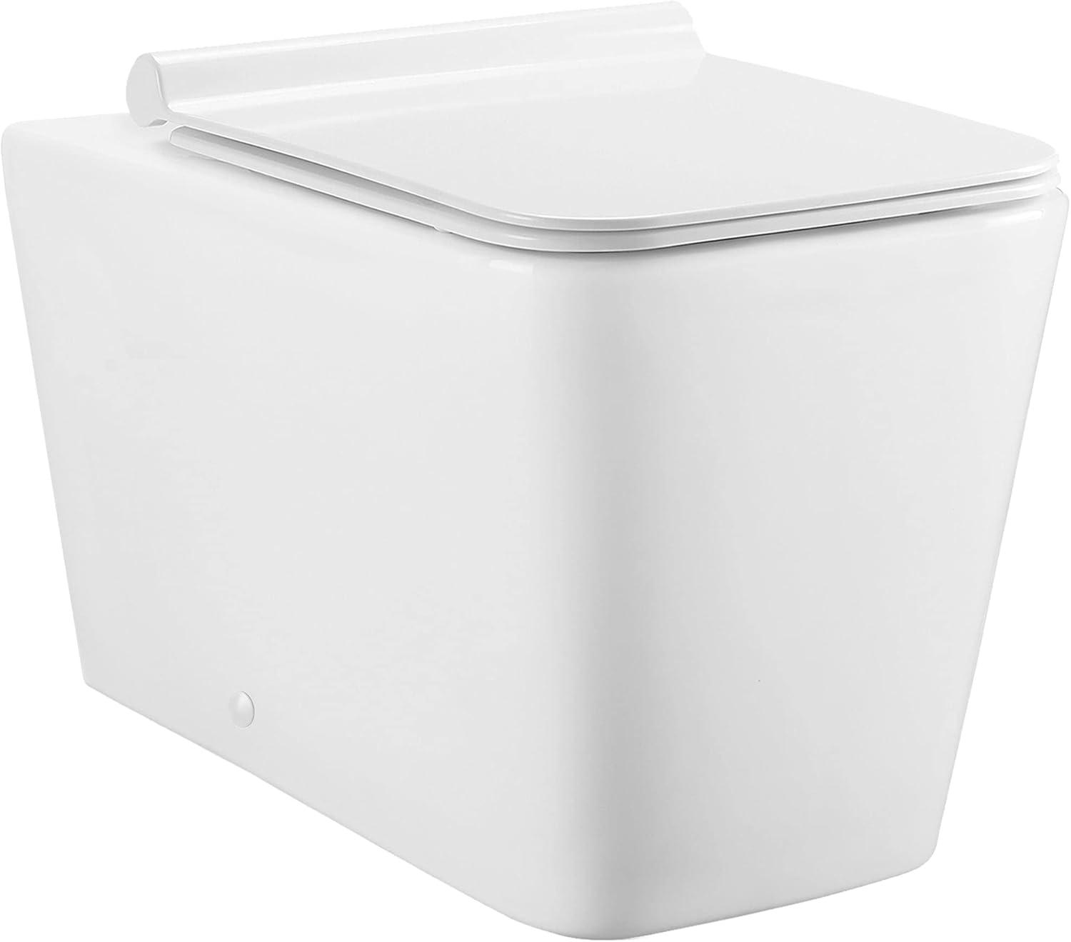 Concorde Back-to-Wall Square Toilet Bowl