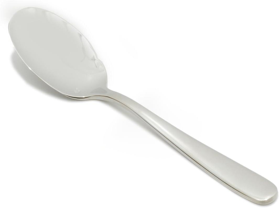 Silver Stainless Steel Flat Serving Spoons Set of 12