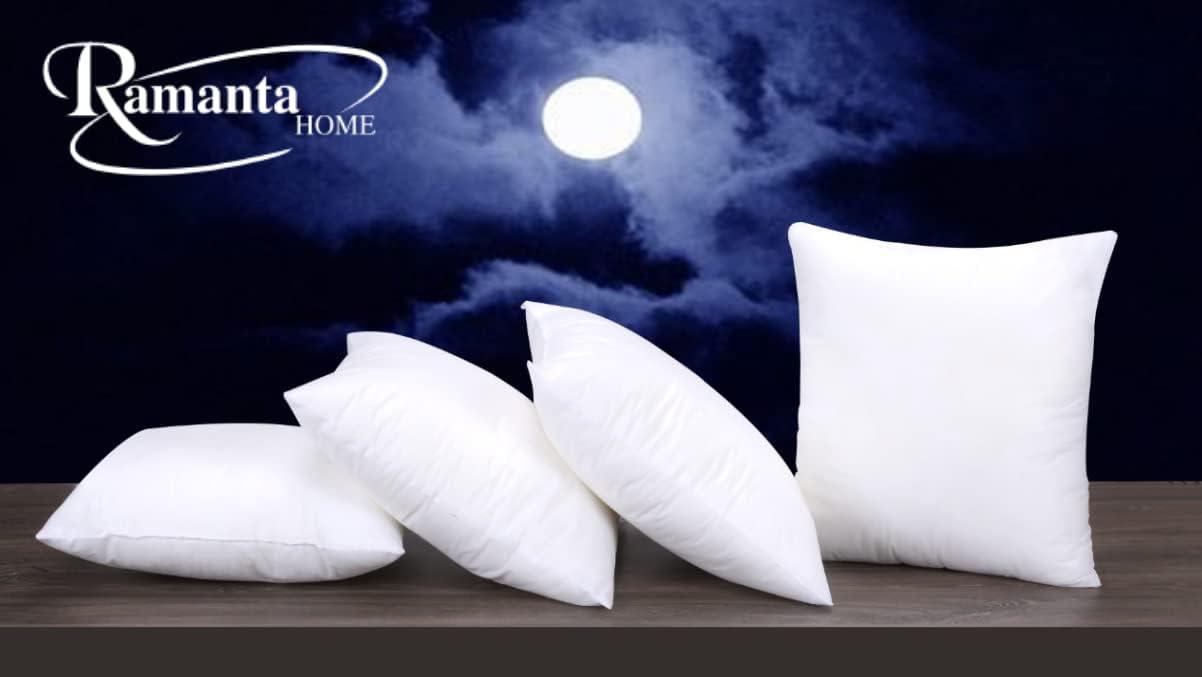 FBTS Prime 18x18 inch Square White Solid Down Alternative Pillow Inserts, 2 Packs