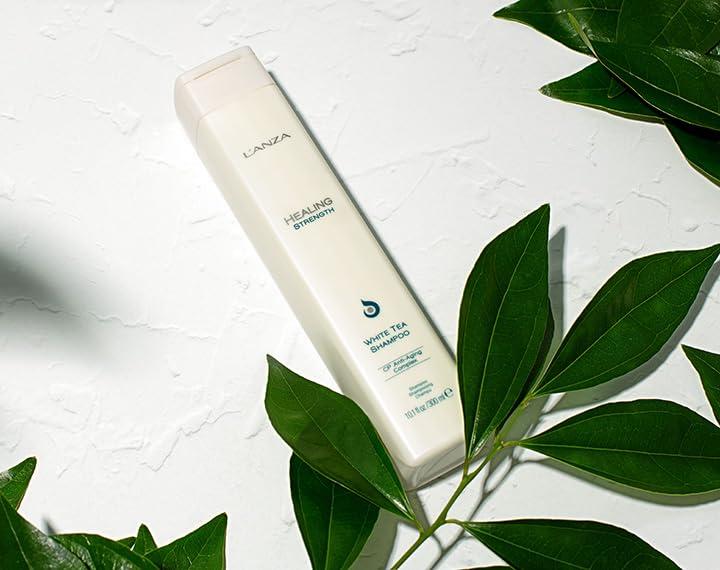 L'ANZA Healing Strength White Tea Shampoo, Shampoo For Dry, Damaged Hair, Boosts Shine, Strengthens, and Restores Weak, Fragile, Aged Hair Against Split Ends & Frizz Control, New Bottle