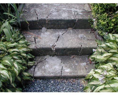 Dexpan Expansive Demolition Grout 44 Lb. Bucket for Rock Breaking, Concrete Cutting, Excavating. Alternative to Demolition Jack Hammer Breaker, Jackhammer, Concrete Saw, Rock Drill (DEXPAN44BKT2)