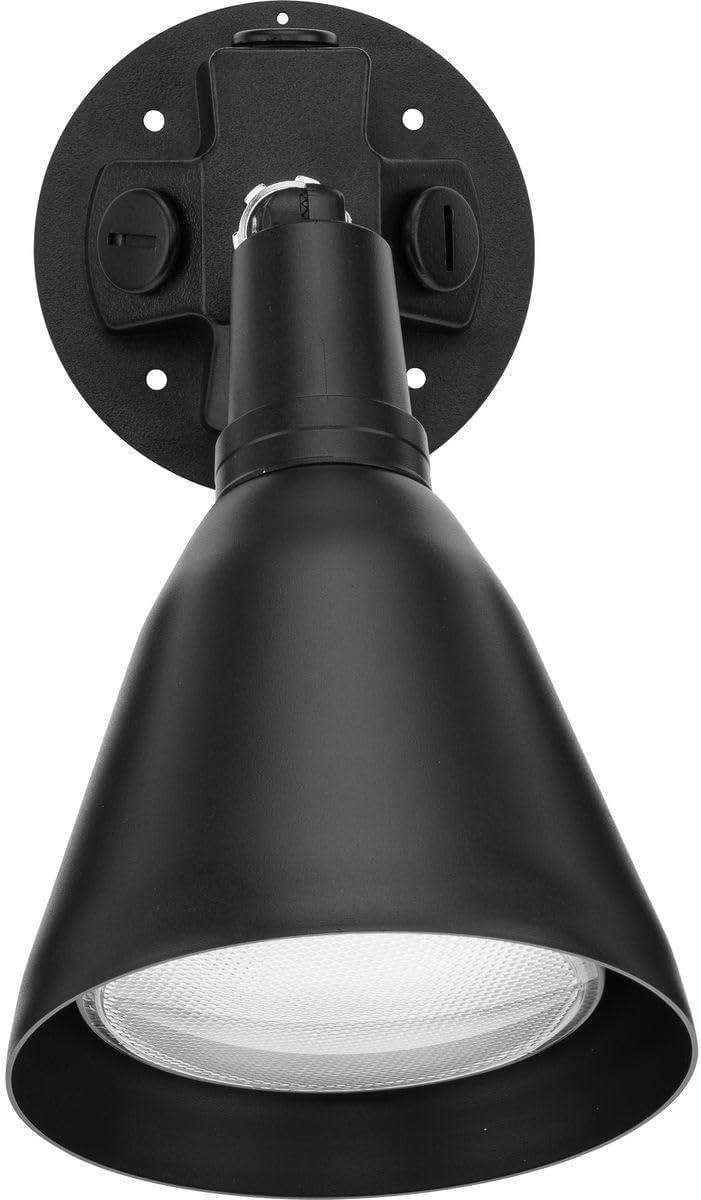 Progress Lighting P5202 Par Lampholder Series Single-Light Adjustable Swivel Aluminum