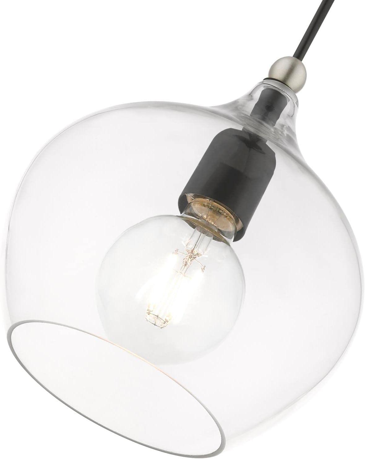 Livex Lighting Aldrich 1 - Light Pendant in  Black/Brushed Nickel