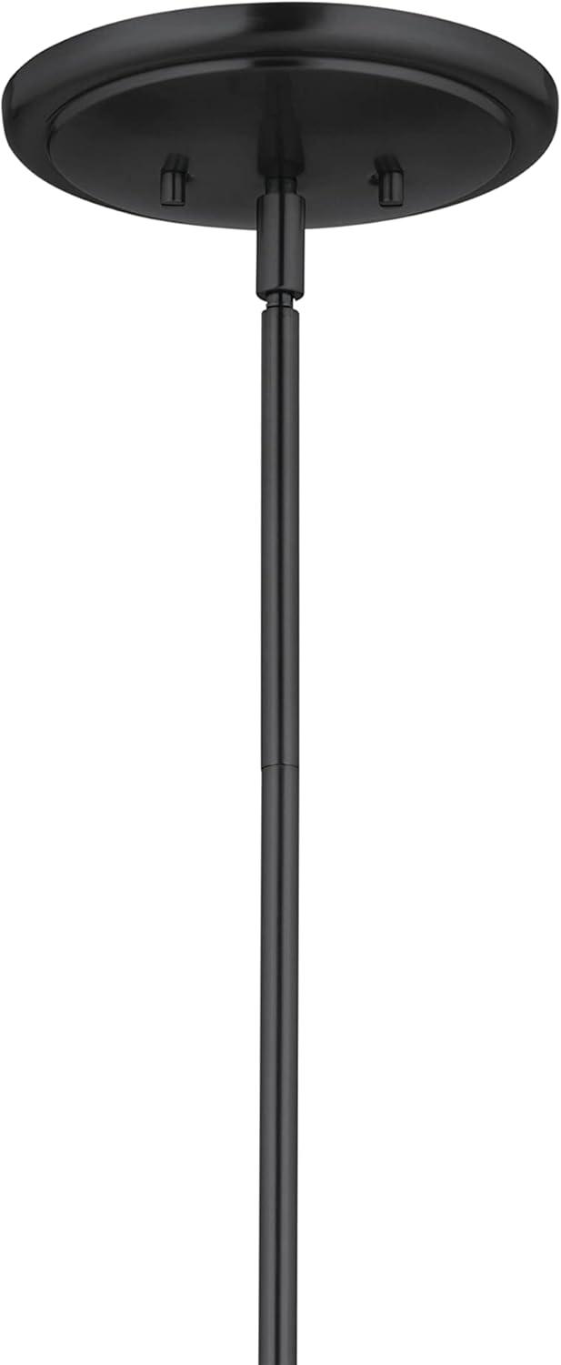 12 - Light Dimmable Classic / Traditional Chandelier