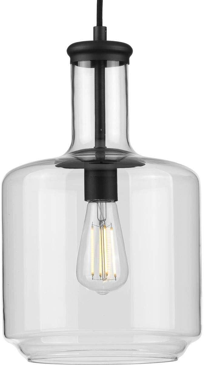 HOOMHIBIU Latrobe Collection 1-Light Clear Glass Coastal Pendant Light Matte Black  14.00x12.25x12.25