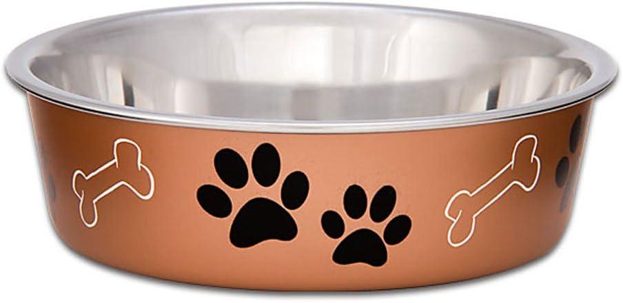 Medium Copper Stainless Steel Non-Slip Dog Bowl with Fun Print