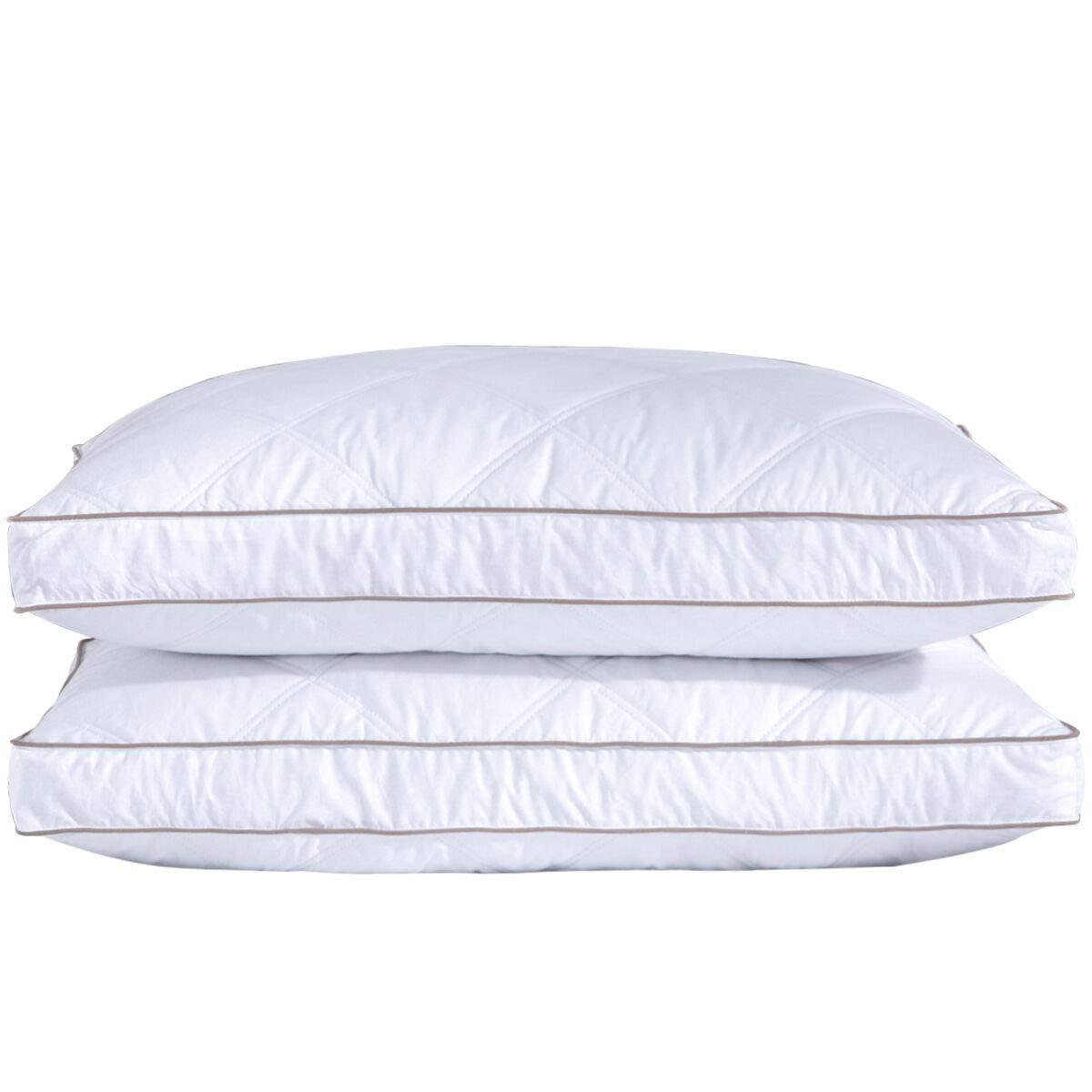 Peace Nest Down Blend Firm Pillow (Set of 2)