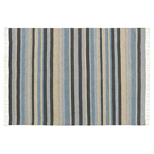 Chesapeake Lori Collection Denim Hand Woven Area Rug ( 5'x7')