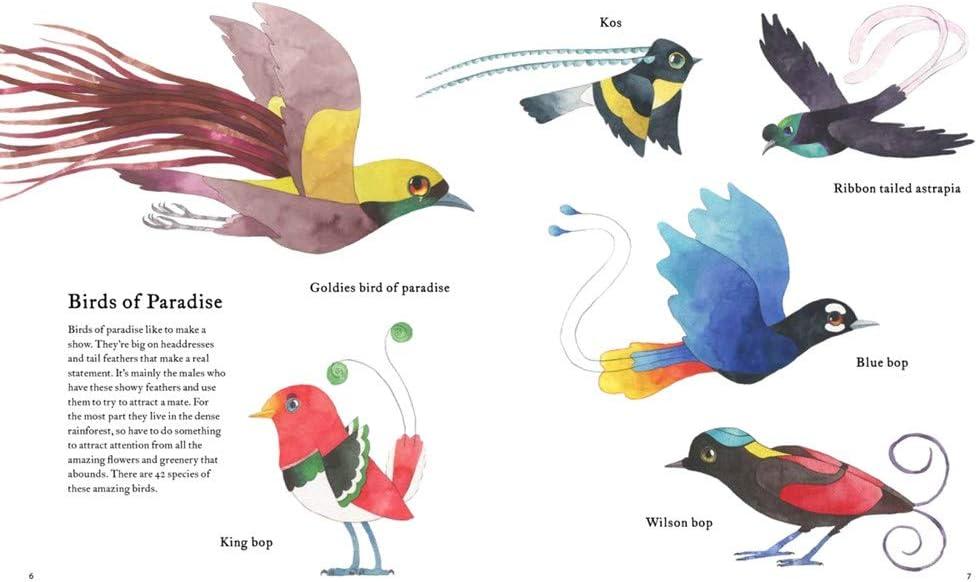 Atlas of Amazing Birds Hardcover Non-fiction Kids' Book