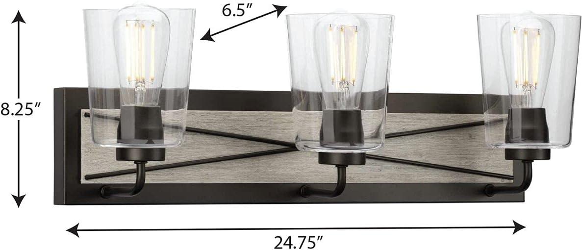 Progress Lighting Briarwood 3-Light Bath Vanity in Graphite with Clear Glass Shades