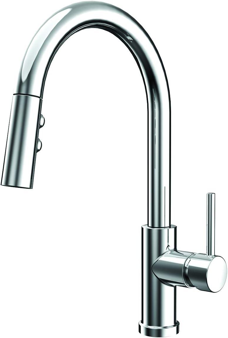 Speakman SB-1042 Neo Kitchen Faucet with Pull Down Sprayer, Polished Chrome